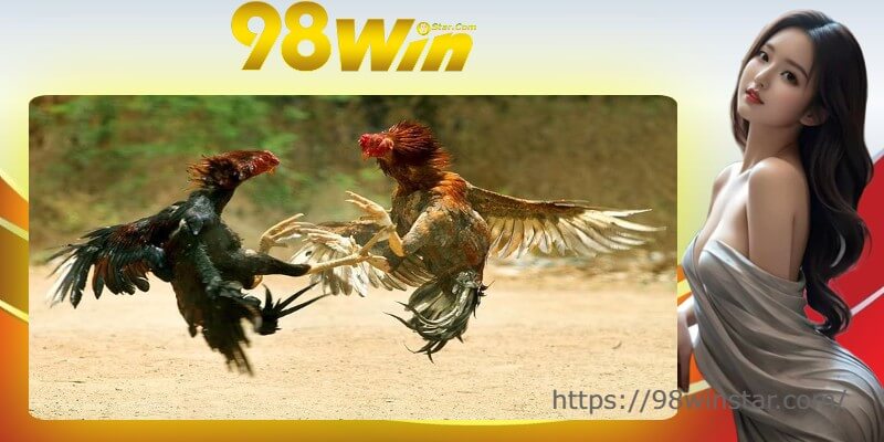 Kèo chấp đá ăn 8 và chi tiết về cách tính tiền cược